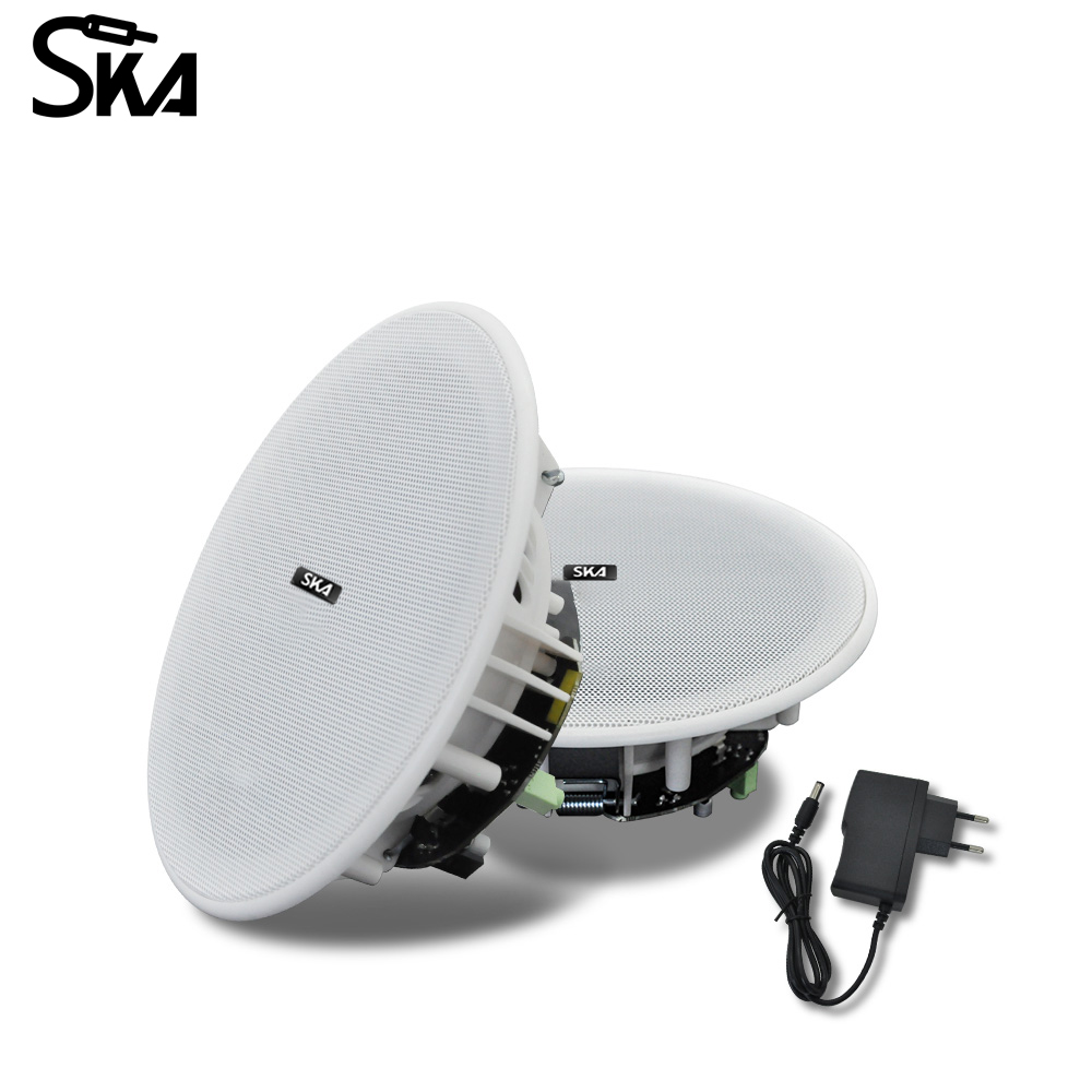 Ceiling Bluetooth Speaker 6inc - đánh giá và giá Home Cinema Speaker System