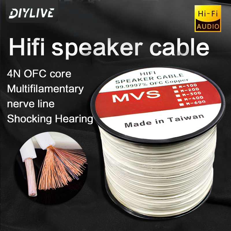 DIYLIVE HiFi Loa Dòng Nhà Điện - đánh giá và giá Home Cinema Xlr