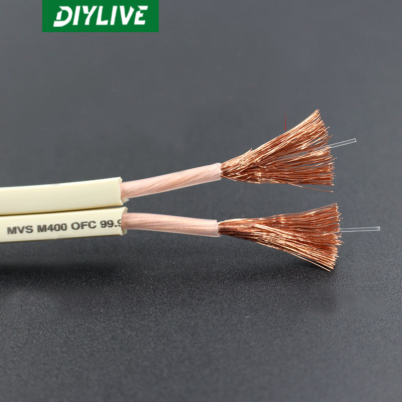 DIYLIVE HiFi Loa Dòng Nhà Điện - đánh giá và giá Home Cinema Xlr