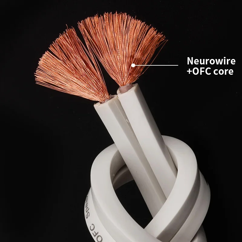 YYTCG DIY Loud Speaker Cable H - đánh giá và giá Home Cinema Ampli
