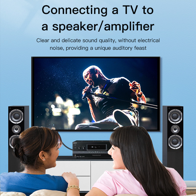CHOSEAL RCA Cable Digital Coax - đánh giá và giá Home Cinema Ampli