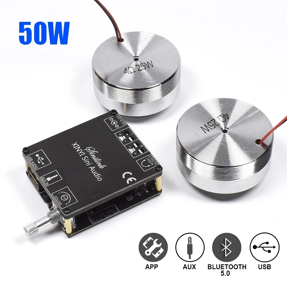 2*25W Portable Stereo Vibratio - đánh giá và giá Home Cinema Ampli